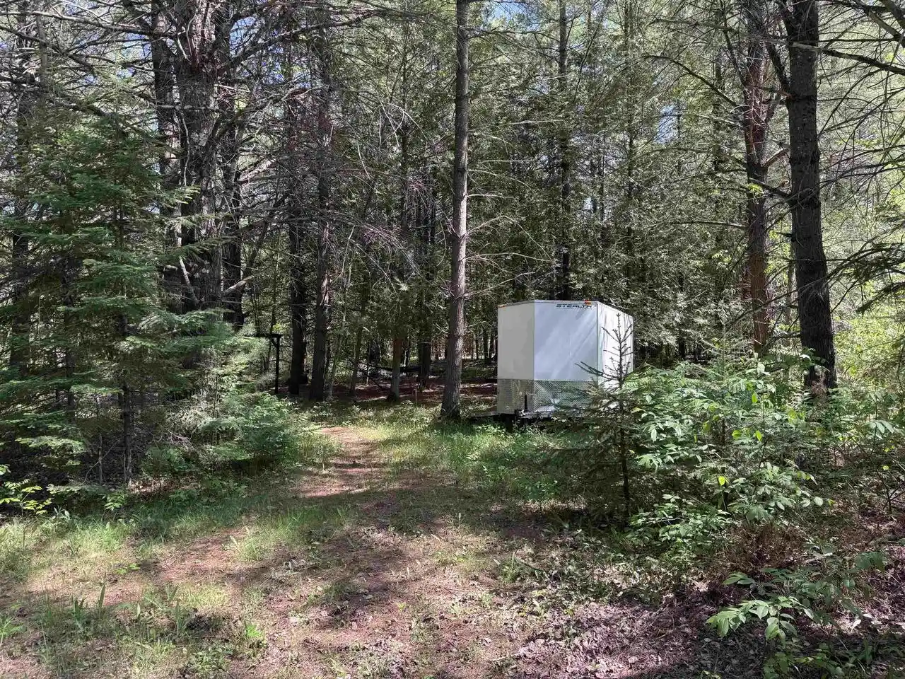 Homes for sale in Wausaukee, WI | Peterson Road Road, Wausaukee, WI 54177 | MLS# 50328522