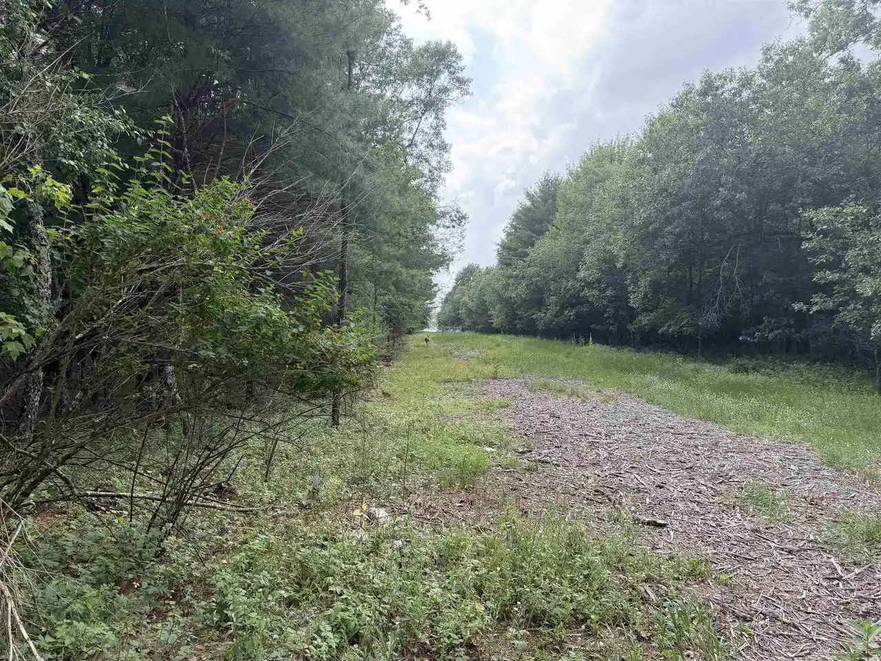 Homes for sale in Wautoma, WI | Cypress Avenue Avenue, Wautoma, WI 54982 | MLS# 50328536