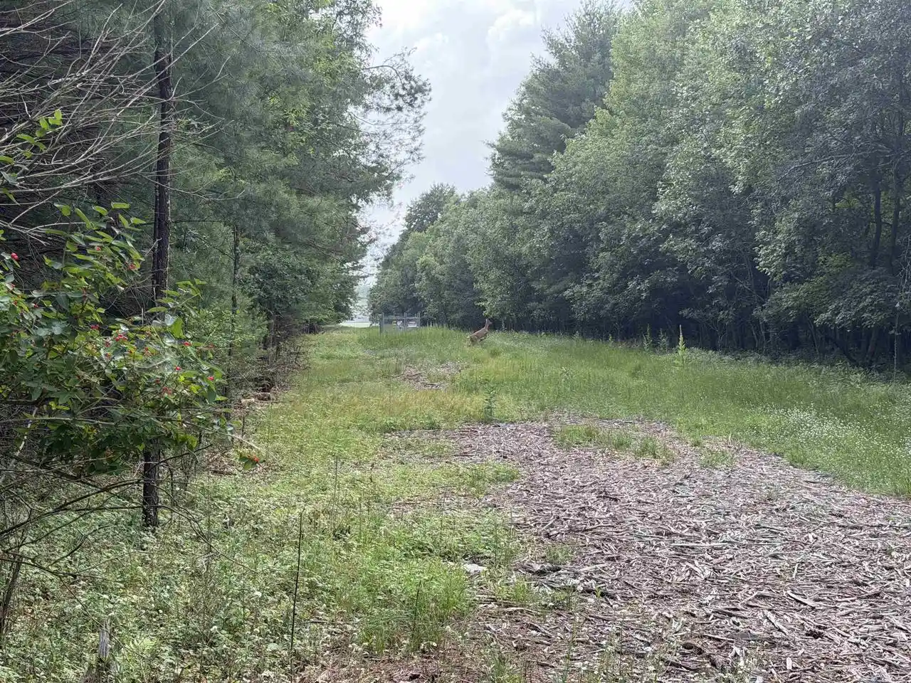 Homes for sale in Wautoma, WI | Cypress Avenue Avenue, Wautoma, WI 54982 | MLS# 50328536