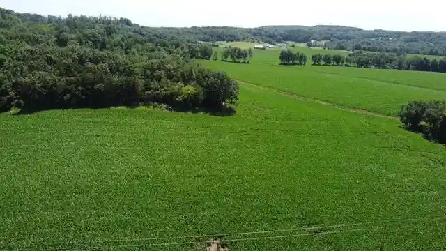 Homes for sale in Lyndon Station, WI | 13545 Acres Costigan Road Road, Lyndon Station, WI 53944 | MLS# 2027376
