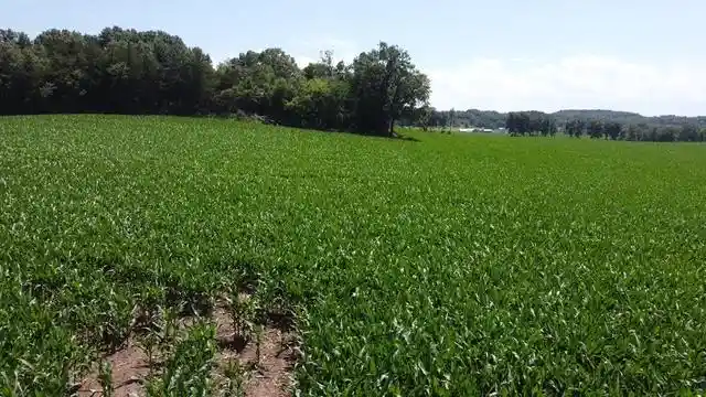 Homes for sale in Lyndon Station, WI | 13545 Acres Costigan Road Road, Lyndon Station, WI 53944 | MLS# 2027376