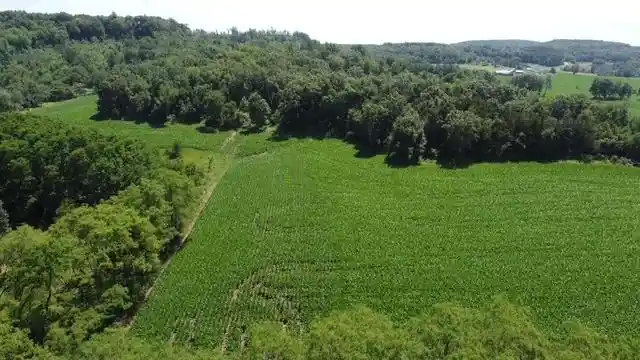 Homes for sale in Lyndon Station, WI | 13545 Acres Costigan Road Road, Lyndon Station, WI 53944 | MLS# 2027376