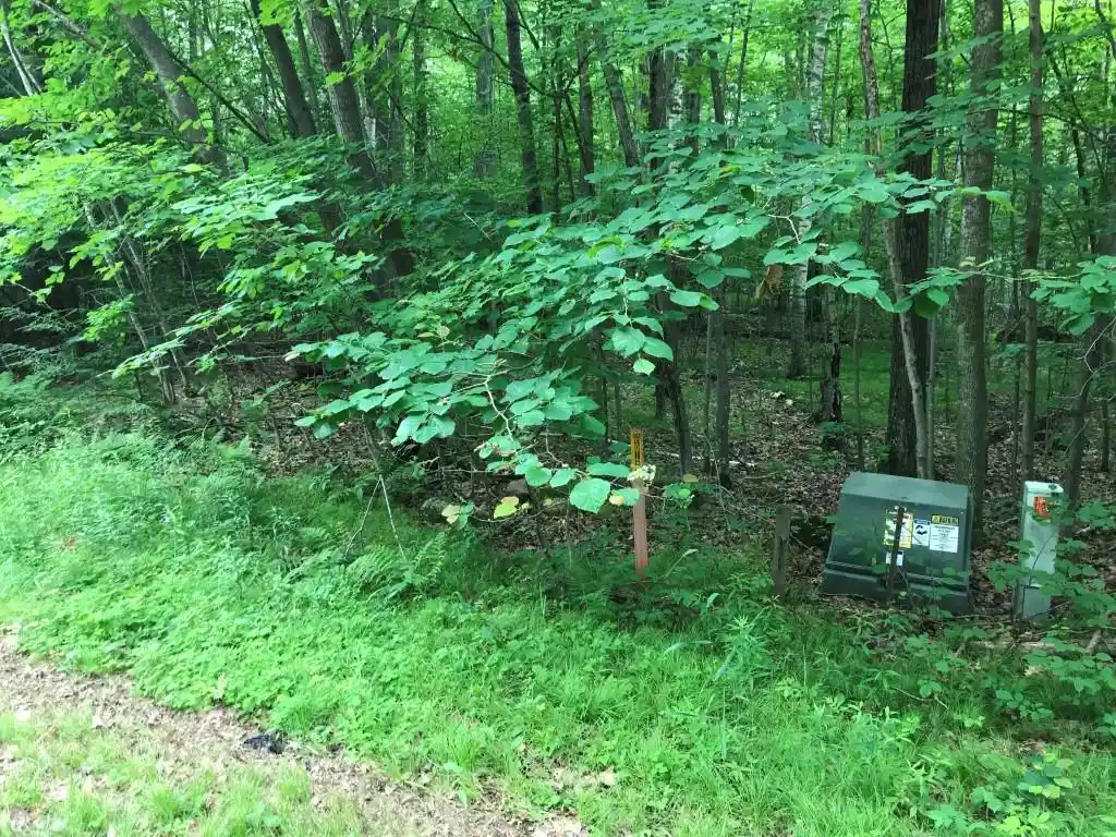 Homes for sale in Ringle, WI | 647 Acres Thumper Dr Dr, Ringle, WI 54471 | MLS# 22603098