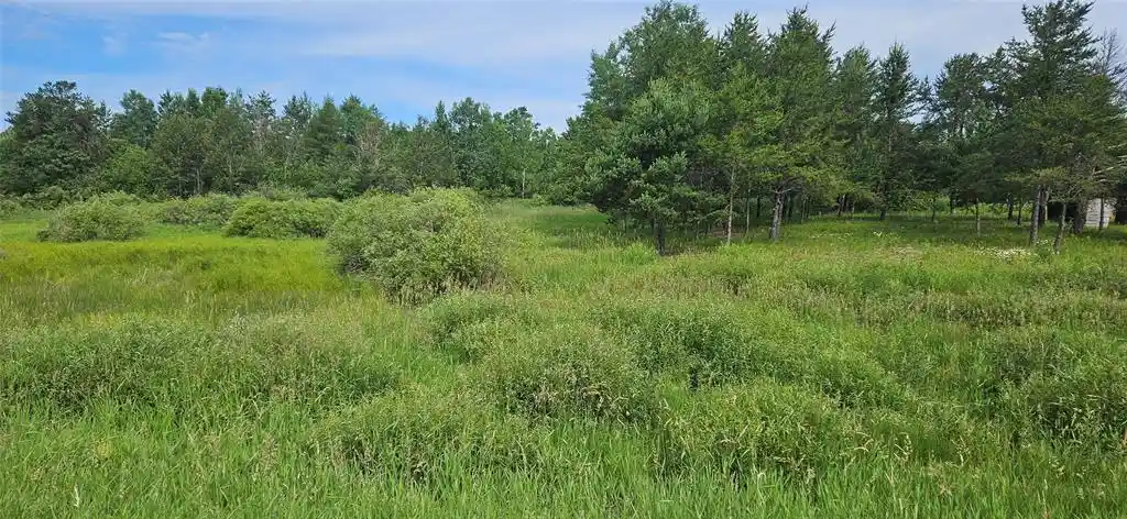 Homes for sale in Hayward, WI | Lot A Windrose Lane Lane, Hayward, WI 54843 | MLS# 1602934