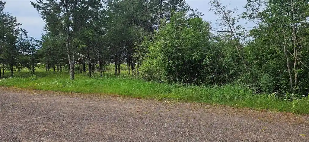 Homes for sale in Hayward, WI | Lot A Windrose Lane Lane, Hayward, WI 54843 | MLS# 1602934