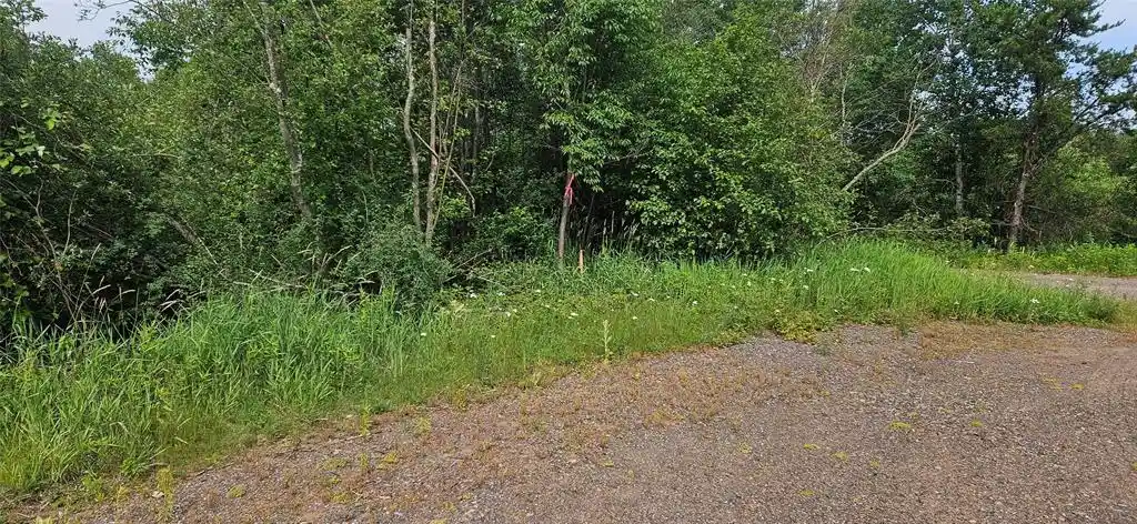 Homes for sale in Hayward, WI | Lot A Windrose Lane Lane, Hayward, WI 54843 | MLS# 1602934