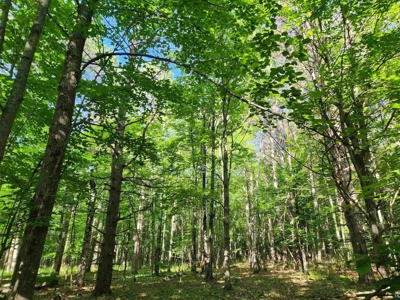 Homes for sale in Washburn, WI | 30xxx Sky Rd Rd, Washburn, WI 54891 | MLS# 6126569