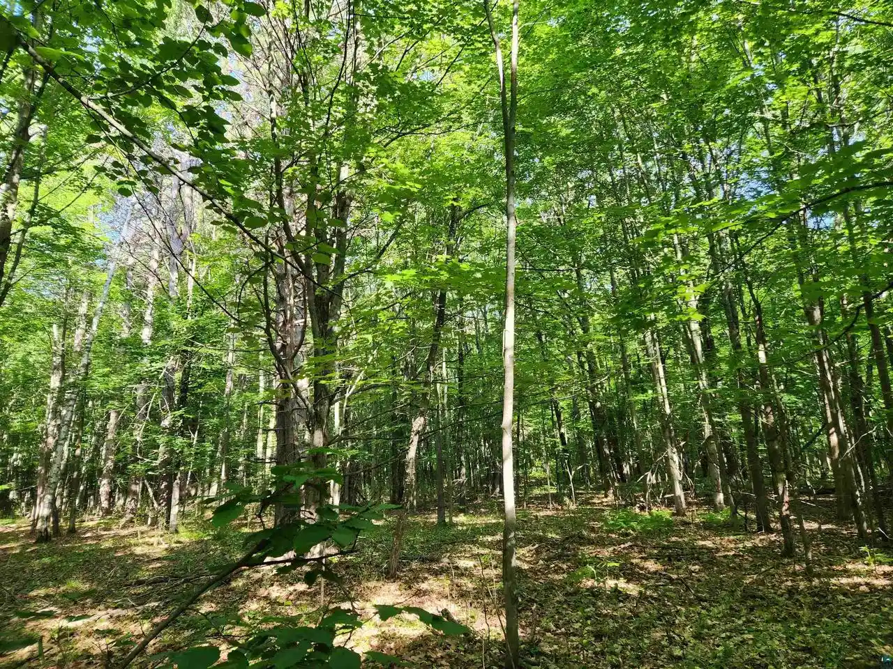 Homes for sale in Washburn, WI | 30xxx Sky Rd Rd, Washburn, WI 54891 | MLS# 6126569