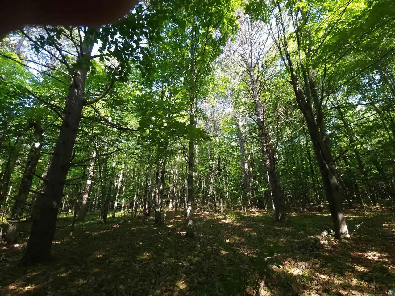 Homes for sale in Washburn, WI | 30Xxx Sky Rd Rd, Washburn, WI 54891 | MLS# 6126569