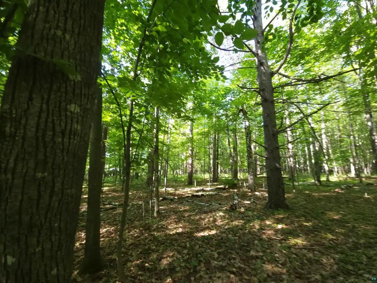 Homes for sale in Washburn, WI | 30Xxx Sky Rd Rd, Washburn, WI 54891 | MLS# 6126569
