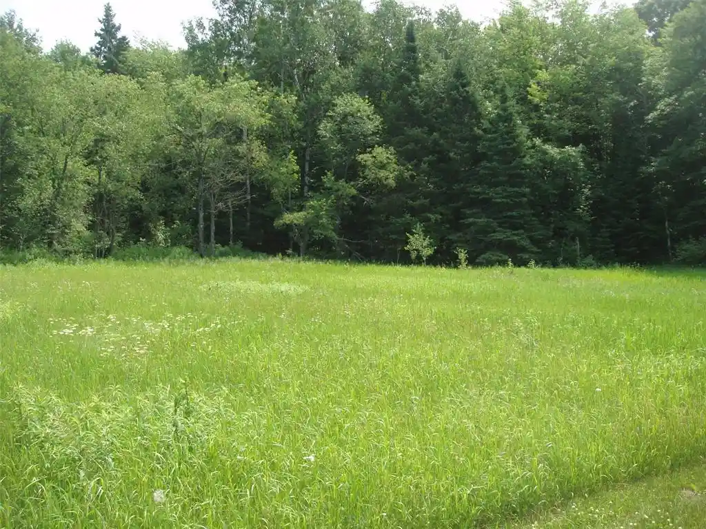 Homes for sale in Butternut, WI | 2460n County Hwy Ff, Butternut, WI 54514 | MLS# 1602950