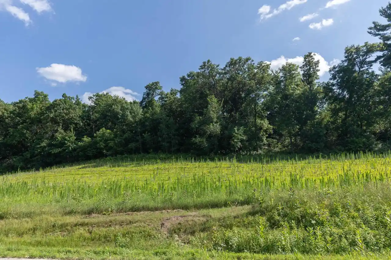 Homes for sale in Mindoro, WI | 0 County Road Ae, Mindoro, WI 54644 | MLS# 1970304