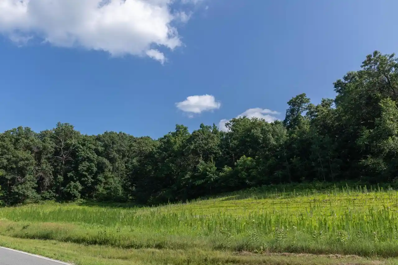 Homes for sale in Mindoro, WI | 0 County Road Ae, Mindoro, WI 54644 | MLS# 1970304