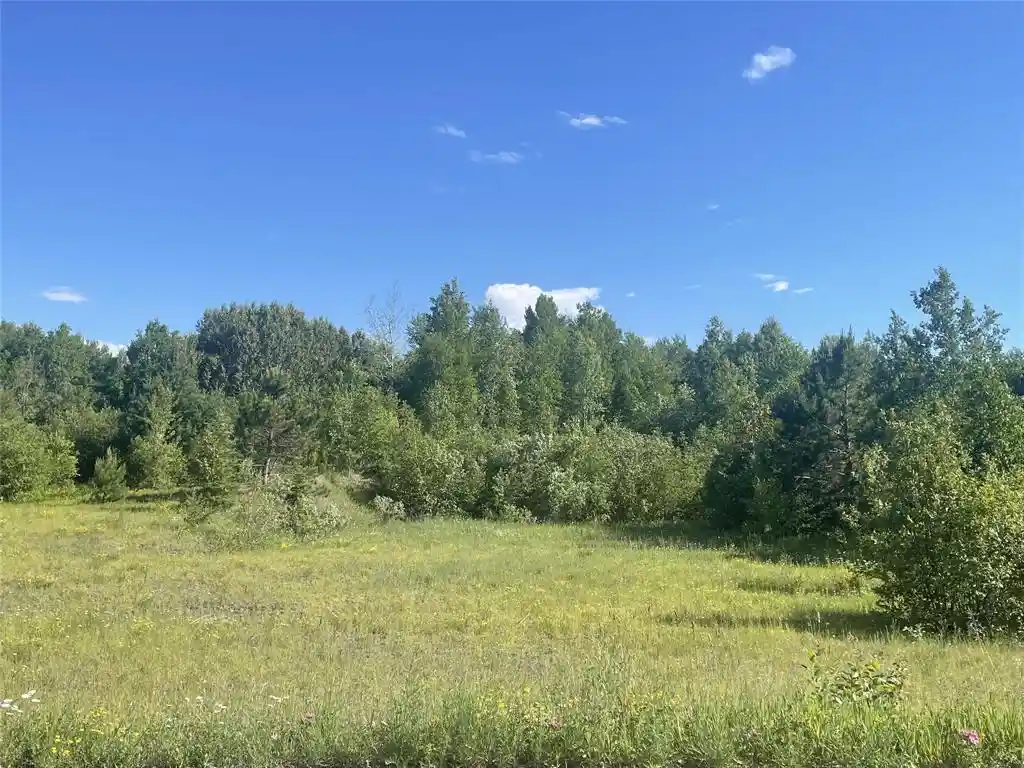 Homes for sale in Iron Belt, WI | 39+/  A On County Hwy E, Iron Belt, WI 54536 | MLS# 1602959