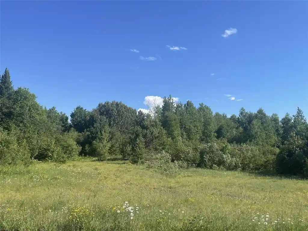Homes for sale in Iron Belt, WI | 39+/  A On County Hwy E, Iron Belt, WI 54536 | MLS# 1602959
