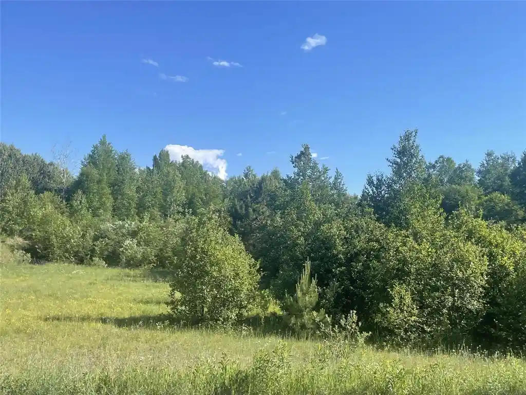 Homes for sale in Iron Belt, WI | 39+/- A On County Hwy E, Iron Belt, WI 54536 | MLS# 1602959