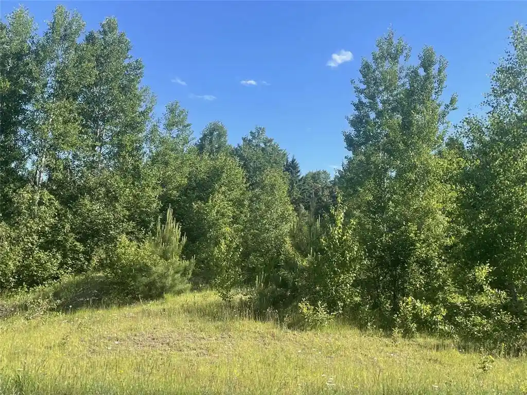 Homes for sale in Iron Belt, WI | 39+/- A On County Hwy E, Iron Belt, WI 54536 | MLS# 1602959