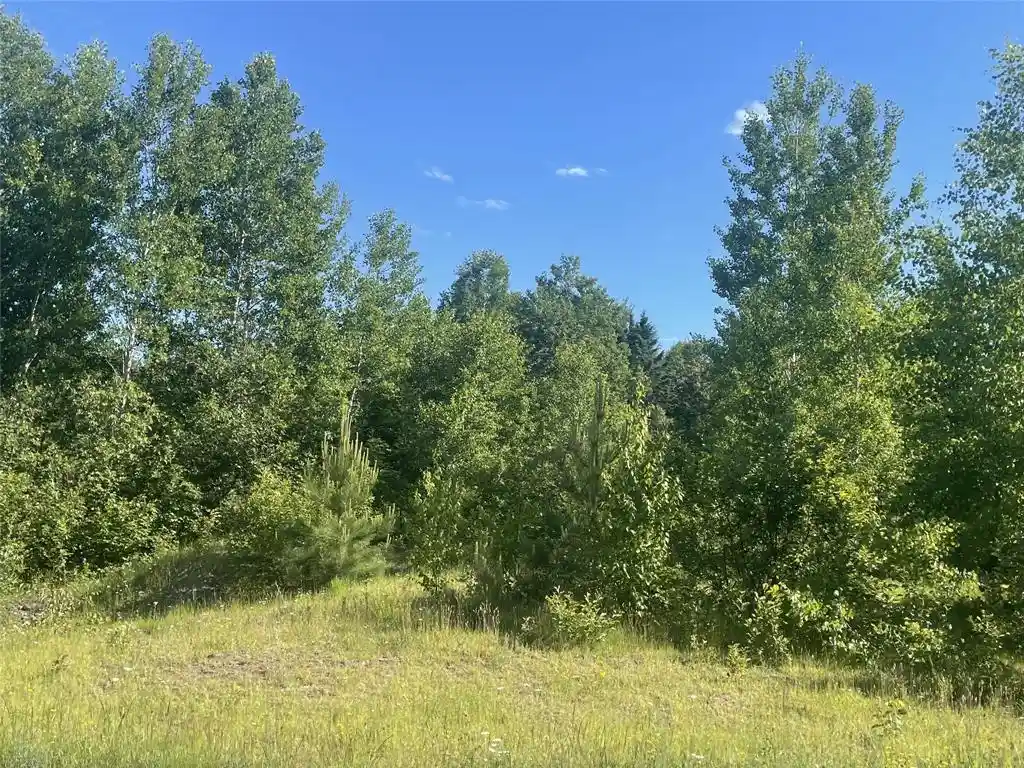 Homes for sale in Iron Belt, WI | 39+/- A On County Hwy E, Iron Belt, WI 54536 | MLS# 1602959