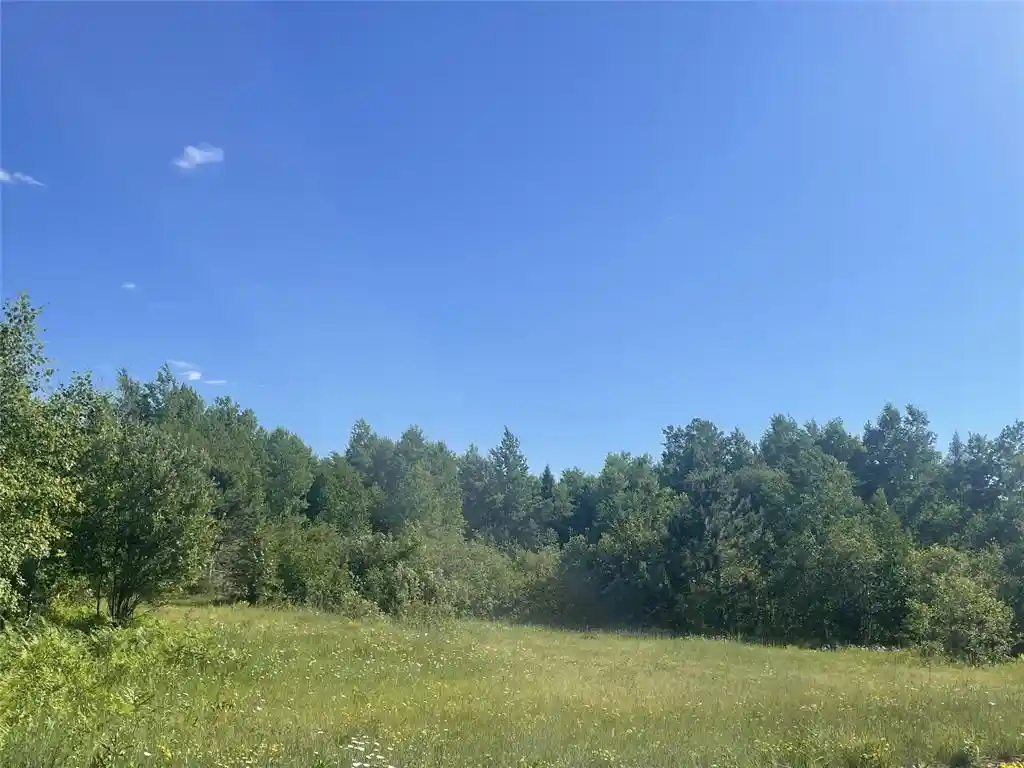 Homes for sale in Iron Belt, WI | 39+/  A On County Hwy E, Iron Belt, WI 54536 | MLS# 1602959