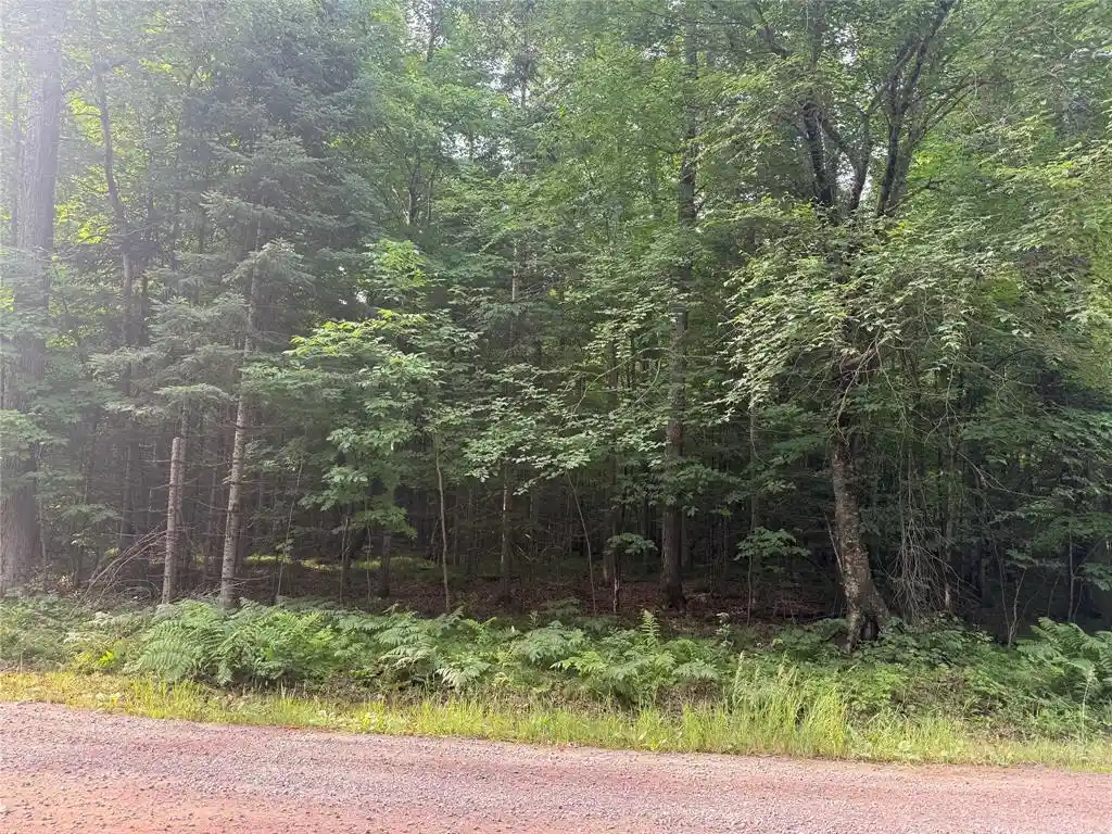 Homes for sale in Ladysmith, WI | Lot 5 Flambeau Point Road Road, Ladysmith, WI 54848 | MLS# 1602917