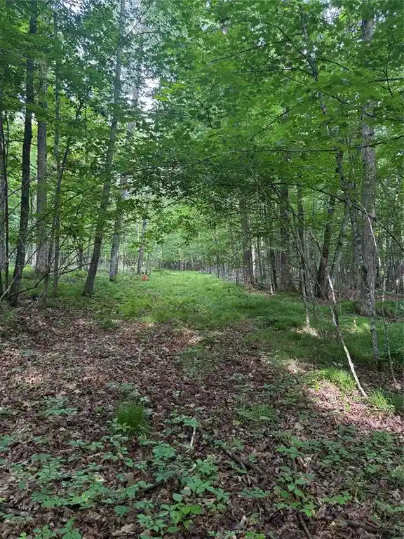 Homes for sale in Ladysmith, WI | Lot 5 Flambeau Point Road Road, Ladysmith, WI 54848 | MLS# 1602917
