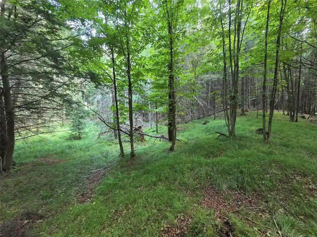 Homes for sale in Phillips, WI | On S Aspen Road Road, Phillips, WI 54555 | MLS# 1602957