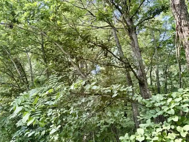 Homes for sale in Brodhead, WI | Lot 9 Mount Hope Road Road, Brodhead, WI 53520 | MLS# 2027456