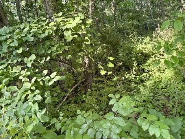 Homes for sale in Brodhead, WI | Lot 9 Mount Hope Road Road, Brodhead, WI 53520 | MLS# 2027456