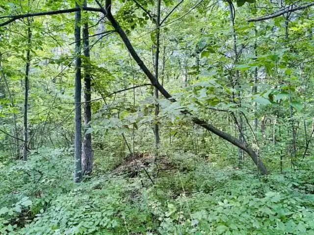 Homes for sale in Brodhead, WI | Lot 9 Mount Hope Road Road, Brodhead, WI 53520 | MLS# 2027456