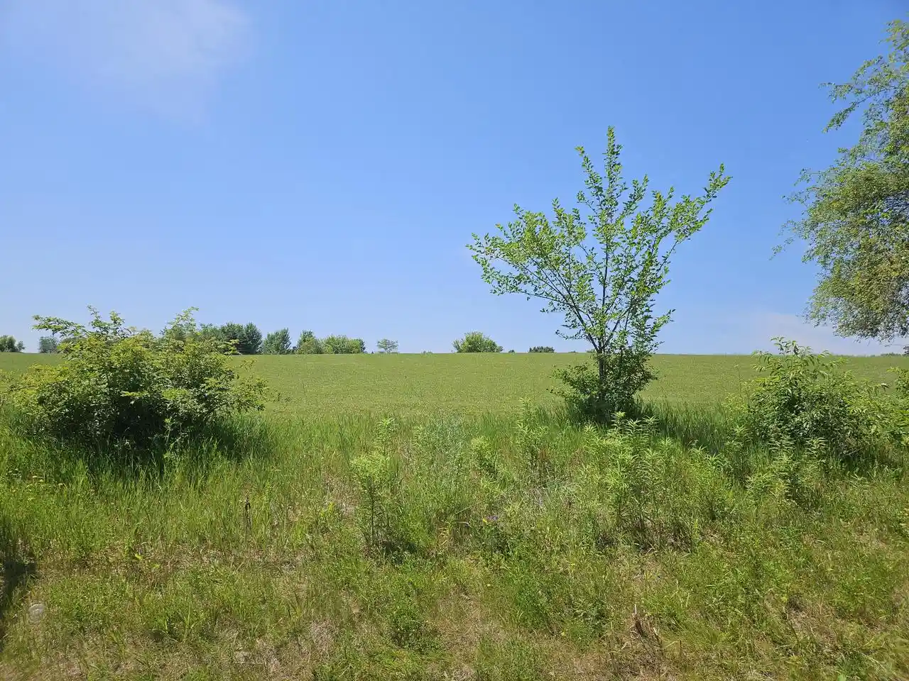 13th image of 1515 W Main Street Street, Whitewater, WI 53190 | MLS# 1970434