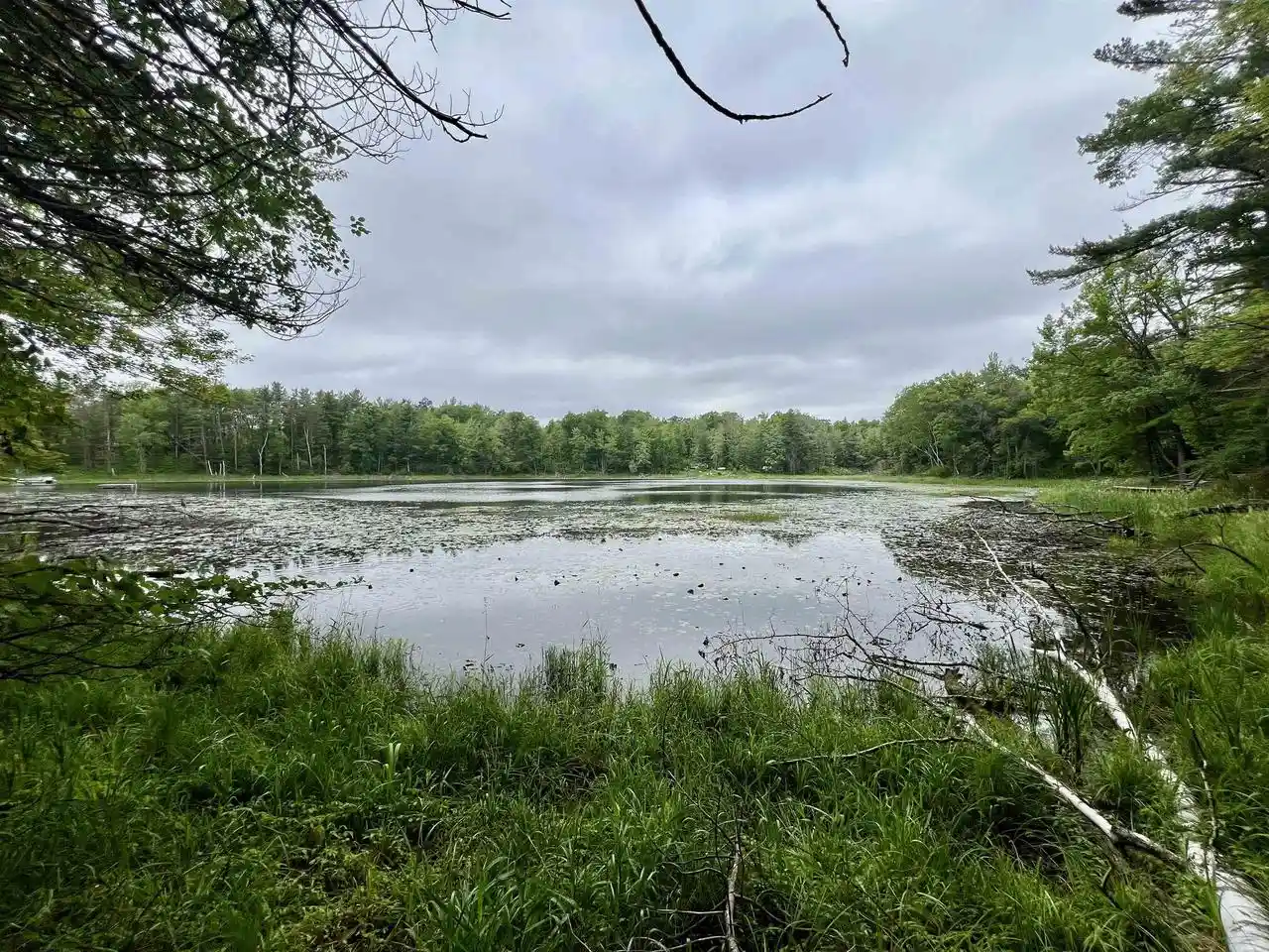 Homes for sale in Pound, WI | County P Road Road, Pound, WI 54161 | MLS# 50328664