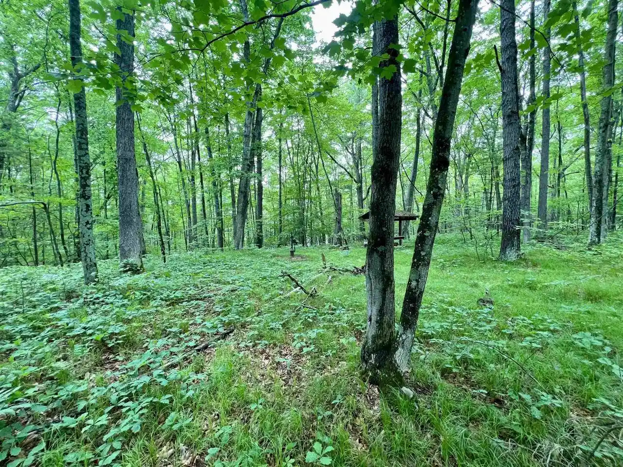 Homes for sale in Pound, WI | County P Road Road, Pound, WI 54161 | MLS# 50328664