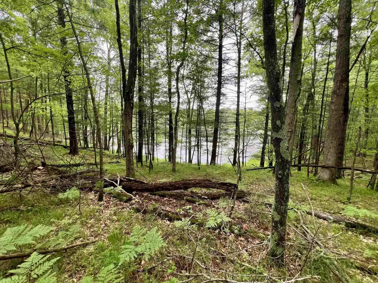 Homes for sale in Pound, WI | County P Road Road, Pound, WI 54161 | MLS# 50328664