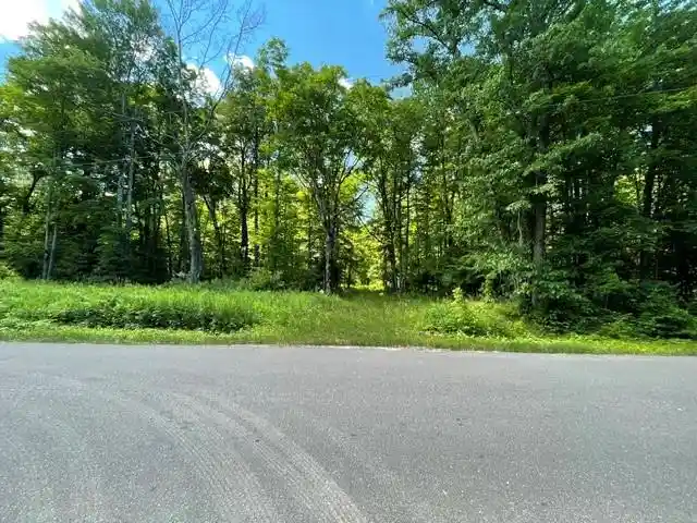 Homes for sale in Ojibwa, WI | 0 Dam Road Road, Ojibwa, WI 54896 | MLS# 1603016