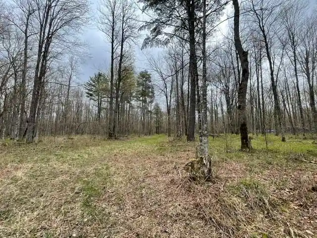 Homes for sale in Ojibwa, WI | 0 Dam Road Road, Ojibwa, WI 54896 | MLS# 1603016