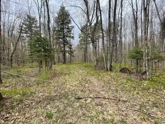 Homes for sale in Ojibwa, WI | 0 Dam Road Road, Ojibwa, WI 54896 | MLS# 1603016