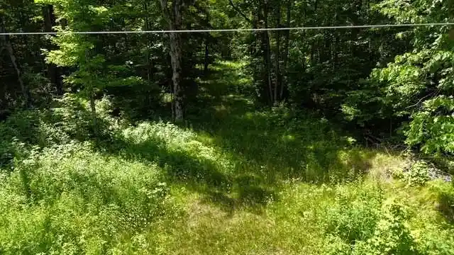 Homes for sale in Ojibwa, WI | 0 Dam Road Road, Ojibwa, WI 54896 | MLS# 1603016