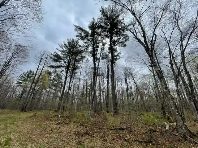 Homes for sale in Ojibwa, WI | 0 Dam Road Road, Ojibwa, WI 54896 | MLS# 1603016