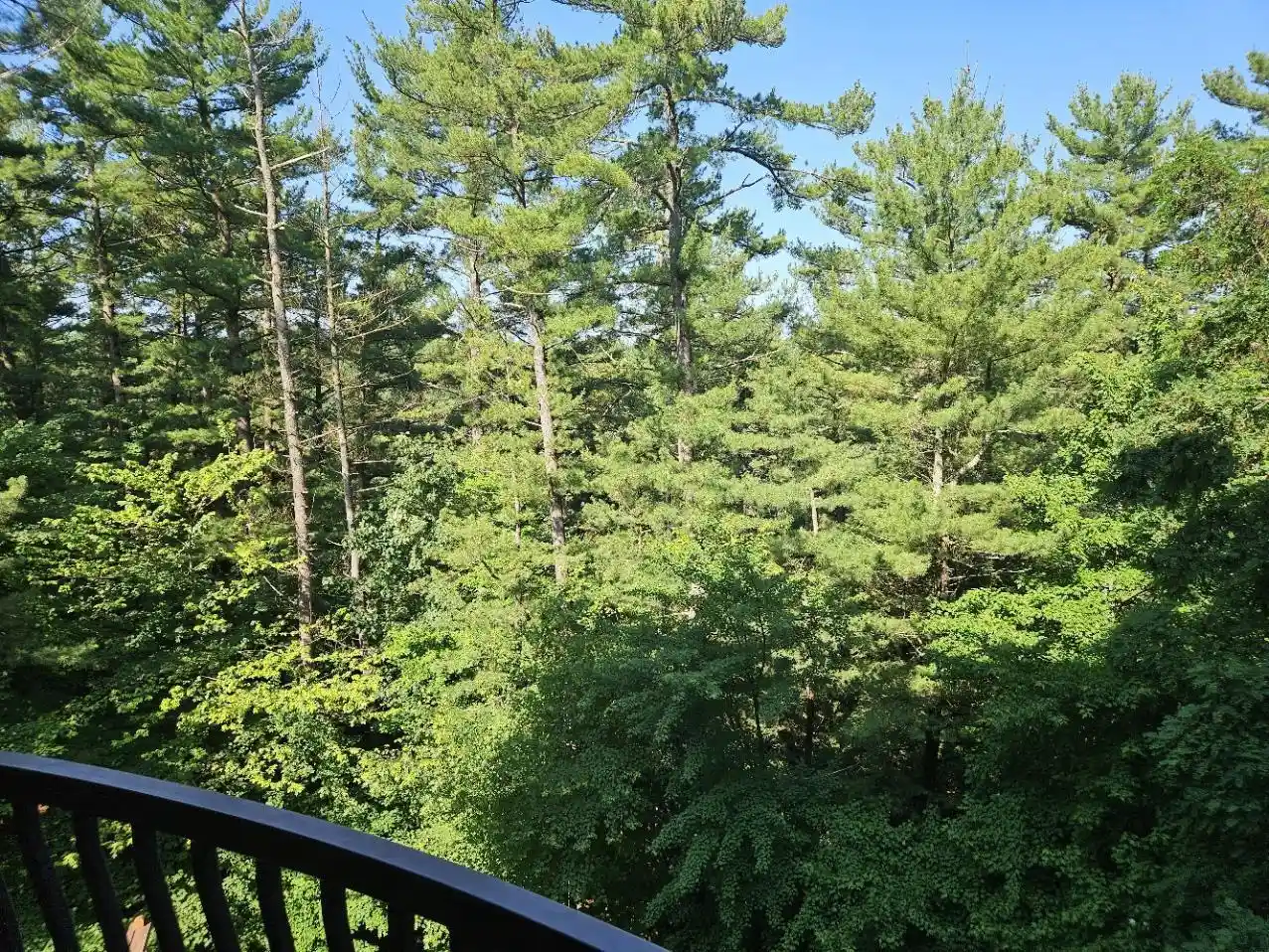Homes for sale in Wisconsin Dells, WI | 2411 River Road Road #2437, Wisconsin Dells, WI 53965 | MLS# 2027530
