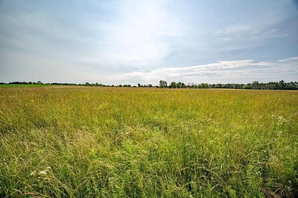Homes for sale in Spring Valley, WI | N8780 250th Street Street, Spring Valley, WI 54767 | MLS# 1602949