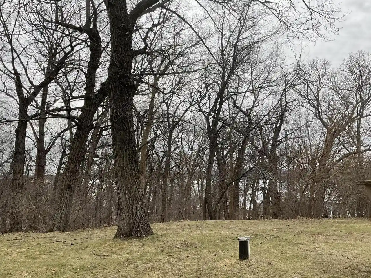 22nd image of W297n2968 Oakwood Grove Road Road, Pewaukee, WI 53072 | MLS# 1970576