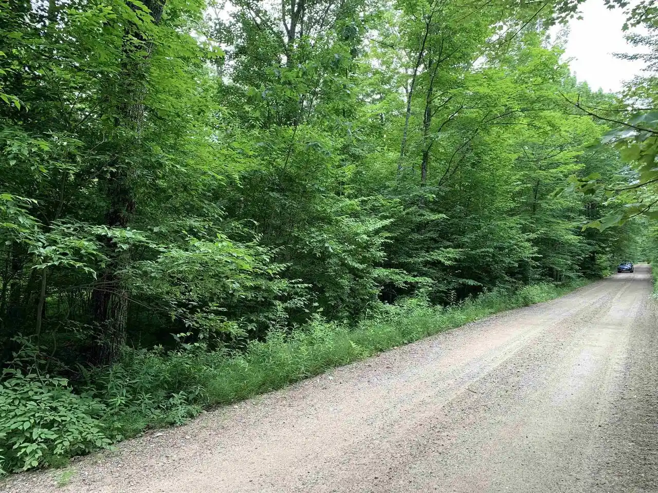 Homes for sale in Gleason, WI | 000 Summit Woods Lane Lane, Gleason, WI 54435 | MLS# 22603137