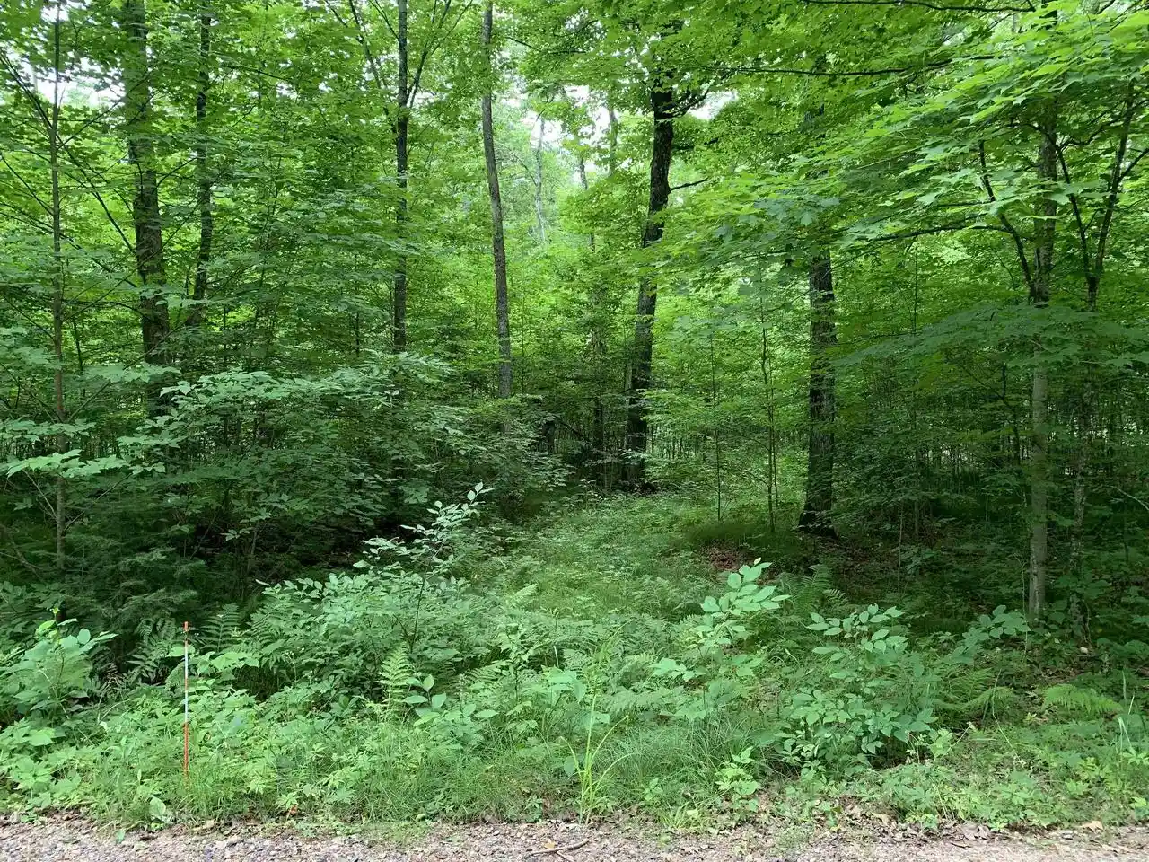 Homes for sale in Gleason, WI | 000 Summit Woods Lane Lane, Gleason, WI 54435 | MLS# 22603137