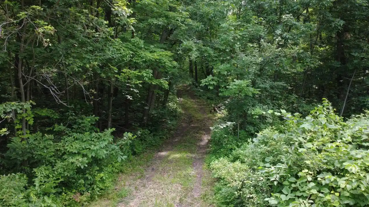Homes for sale in Rock Springs, WI | S5784 County Road D, Rock Springs, WI 53961 | MLS# 2027606