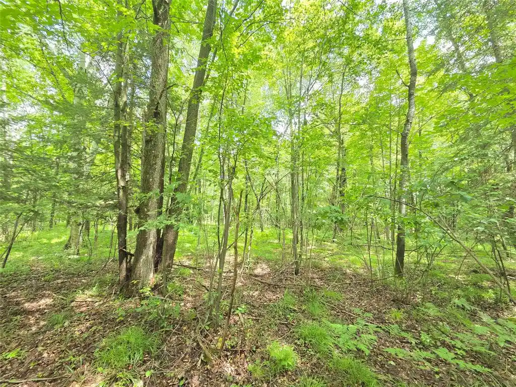 Homes for sale in Phillips, WI | On Woodland Lane Lane, Phillips, WI 54555 | MLS# 1603047