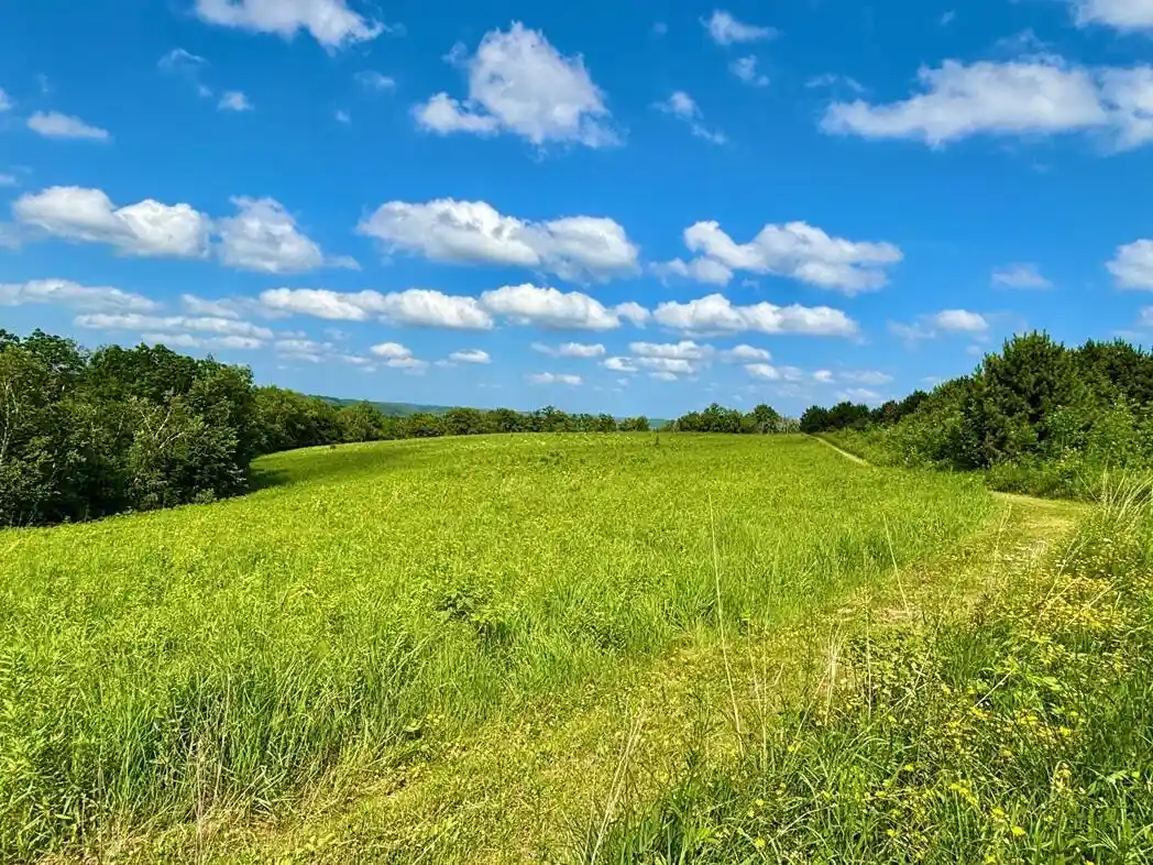 4th image of 0 State 30 Hwy Hwy, Rushford, MN 55971 | MLS# 1970701