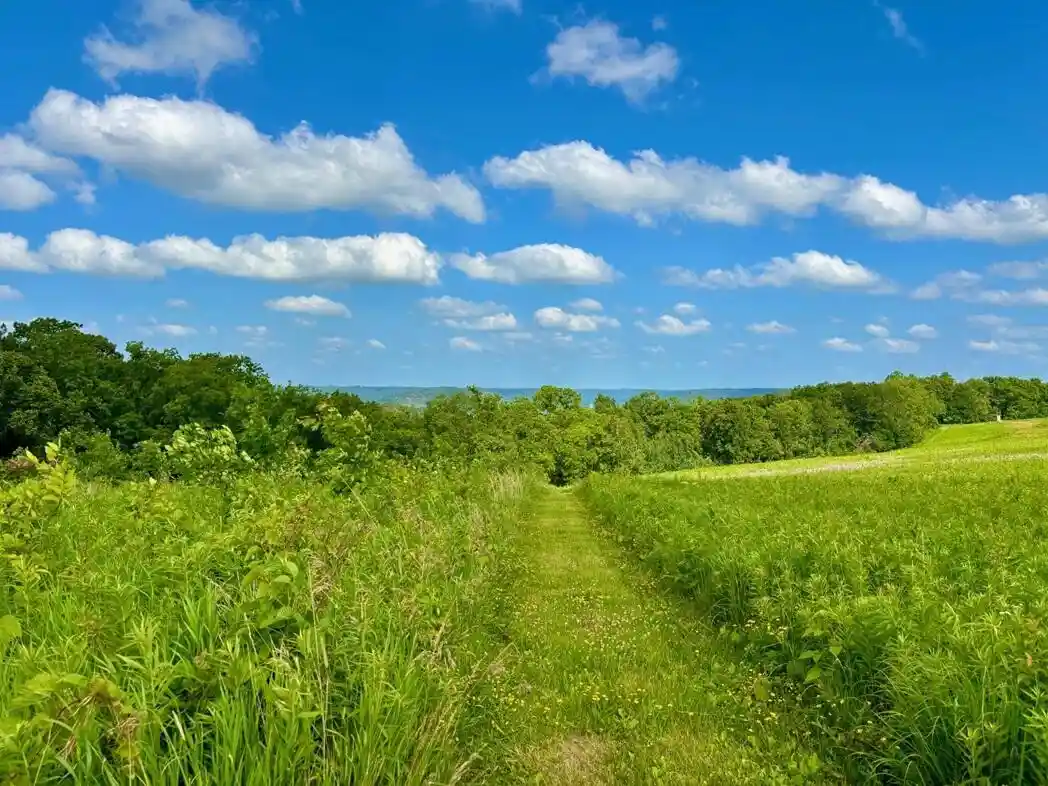 5th image of 0 State 30 Hwy Hwy, Rushford, MN 55971 | MLS# 1970701
