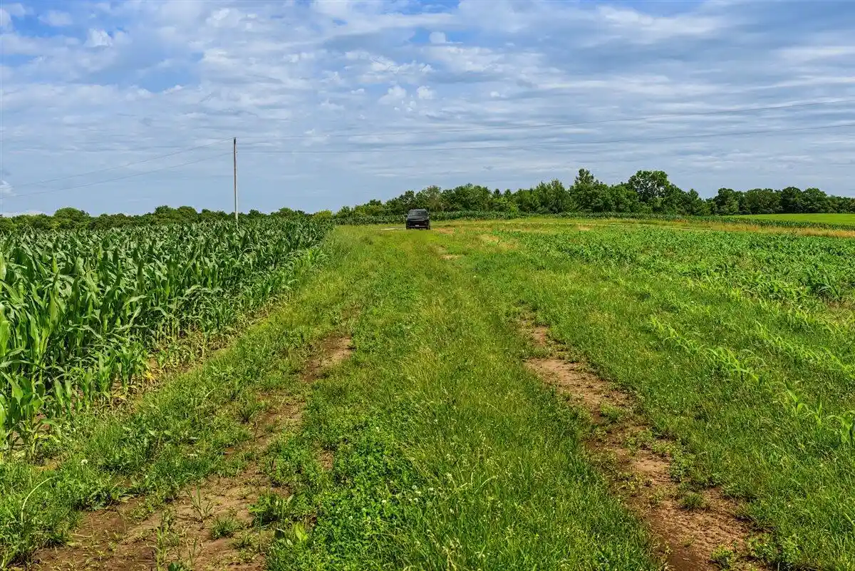 Homes for sale in Readstown, WI | 00 Lyster Road Road, Readstown, WI 54652 | MLS# 1970714