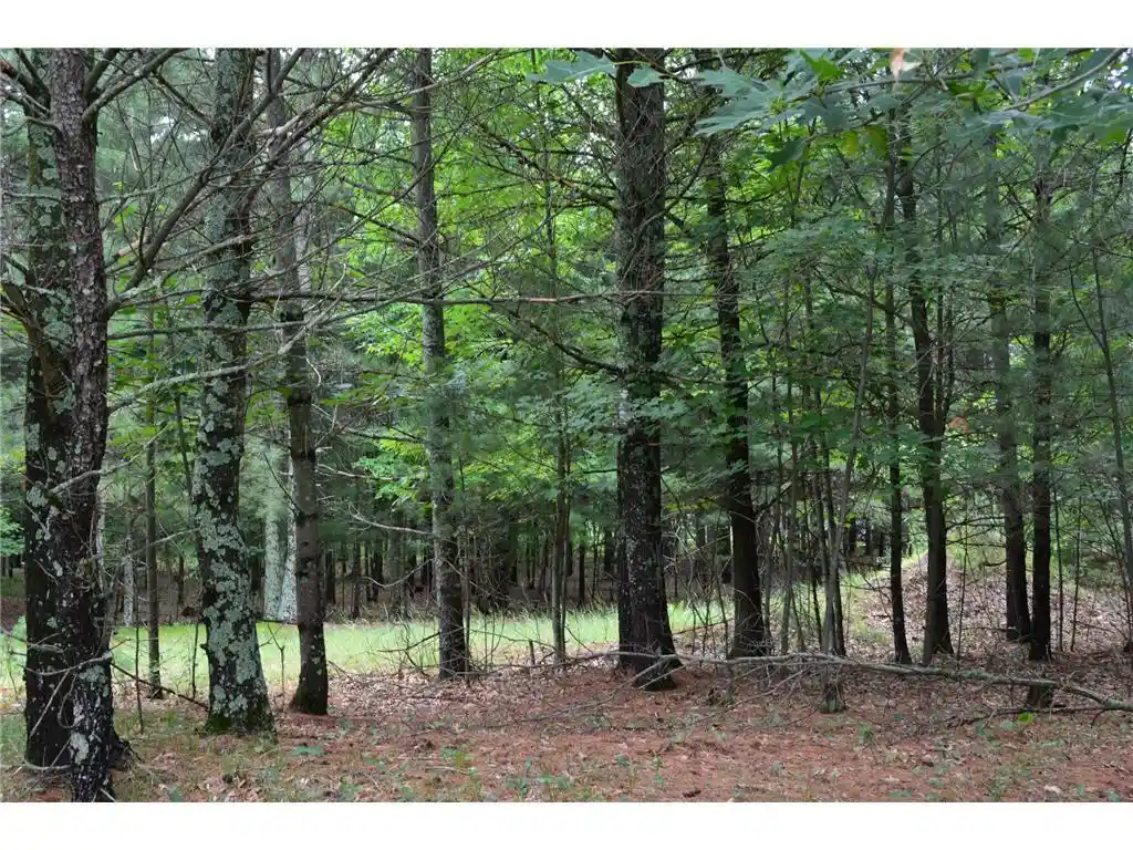 4th image of Tbd Benson Road Road, Grantsburg, WI 54840 | MLS# 7105917