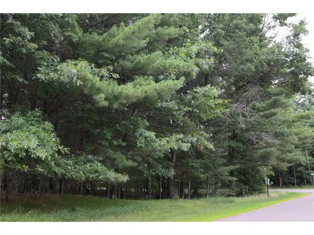 5th image of Tbd Benson Road Road, Grantsburg, WI 54840 | MLS# 7105917